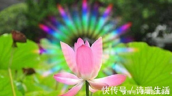 降服$人生最大的福报,不是名利,而是这2个字,极少人能真正悟透!