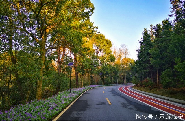 湿地|“夏”一站，咸宁请你来“吸氧”！