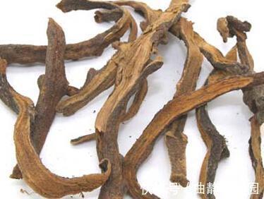 大山|农村大山里的野草,农民拿来当柴烧,老中医当宝,补肝肾,活筋骨