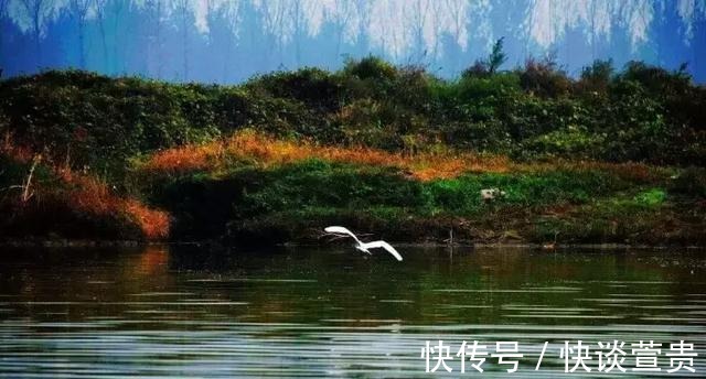 鸟类|北京秋游好去处！风景秀丽芦苇飘荡，门票免费适合自驾