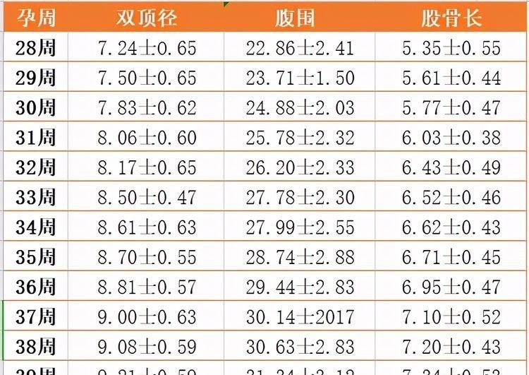 双顶径|双顶径看男女:头小腿长是女孩,头大腿短是男孩?