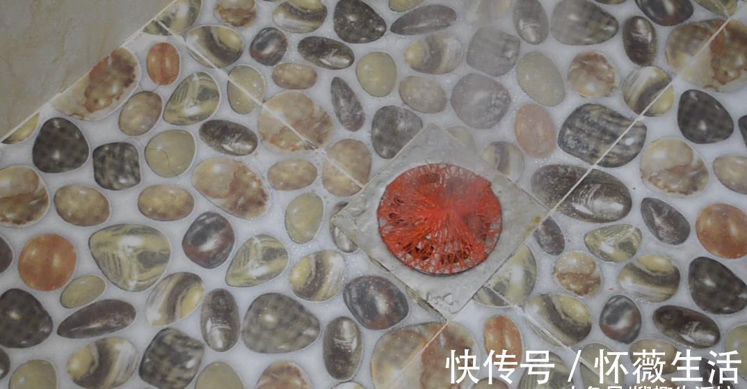 柚子上的网套别扔掉了, 放在卫生间里有大用处, 看完你会感谢我的