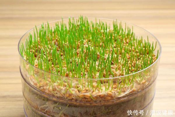 蔬菜发芽还能吃吗?医生提醒:遇到这3种,营养