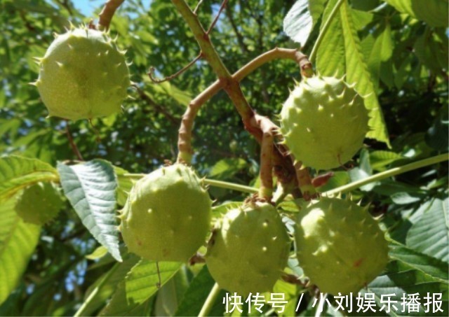 优质蛋白|妇科中医女性过了45岁，谨记3吃、戒1物，补气血、缓衰老