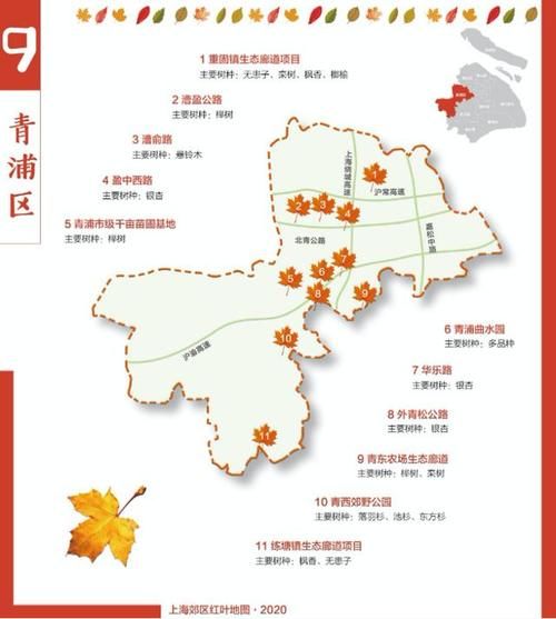发布|2020版上海郊区红叶地图发布，沪郊最美秋色等你去打卡
