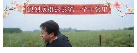 vip|我一个尊贵的VIP会员，你拿PPT糊弄我？