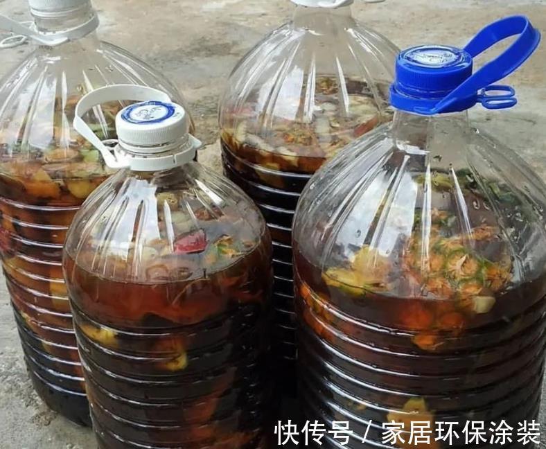 浇灌|茉莉花,天生就是“醋坛子”!夏季1个月浇3次,叶不黄开花旺