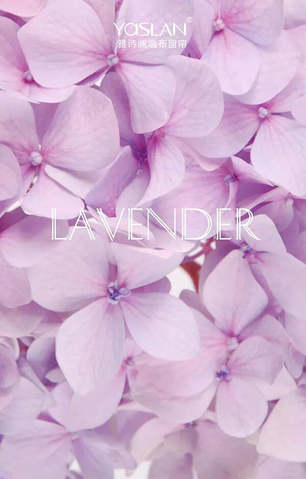 打造出时尚而敏感的味道 浅紫 水色 快资讯 打造出时尚而敏感的味道 浅紫 水色 快资讯