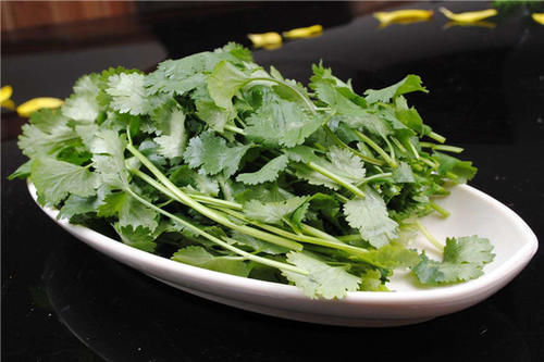 叶子|香菜保存有窍门,放一年叶子依旧翠绿新鲜,不变味,太实用了