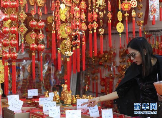 美国奥兰治县举行农历新年花市 快资讯