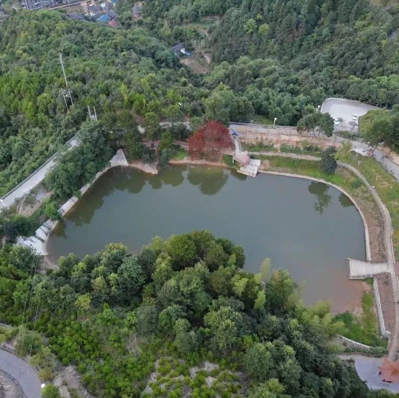 万顷竹海，蜿蜒沅江！伴随着山歌一起走进横岩竹海