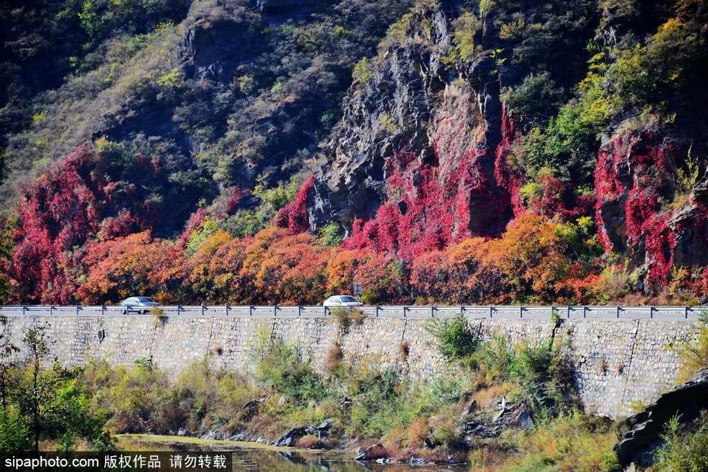 五一去哪玩？推荐您打卡房山“五星级民俗旅游村”！