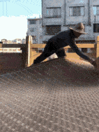 |搞笑GIF:高手,真正的高手!大爷原谅我没见过世面!!