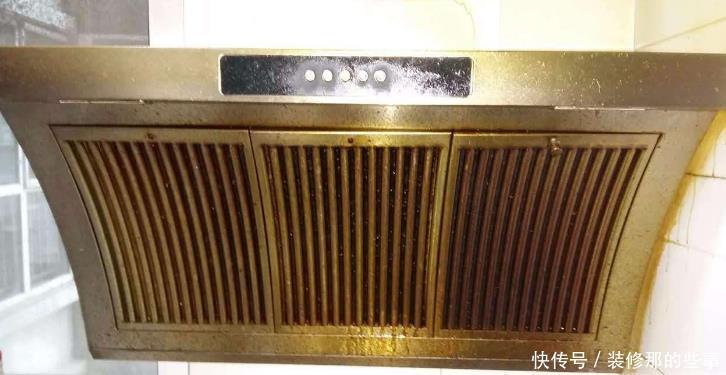 废油|月季、君子兰、茉莉,这3样花超爱吃油,用好了呼呼长不停