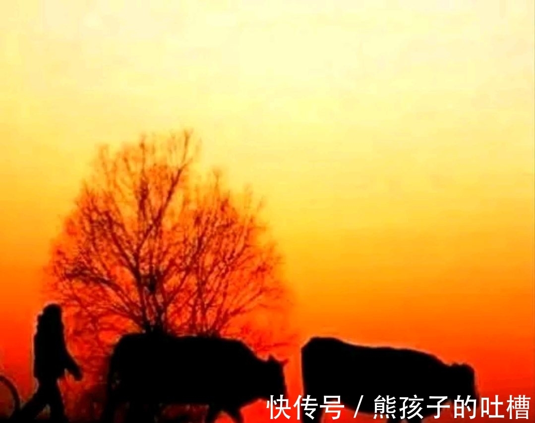 野渡征联|野渡征联第三期:晴窗徊雁影,诚征下联