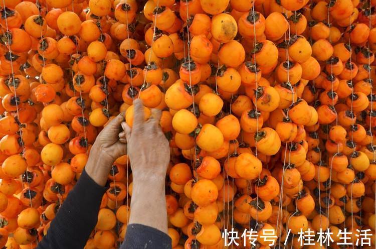 柿子|此水果每天吃一个,给肠胃“洗澡”,女人不想肌肤干燥可以试试