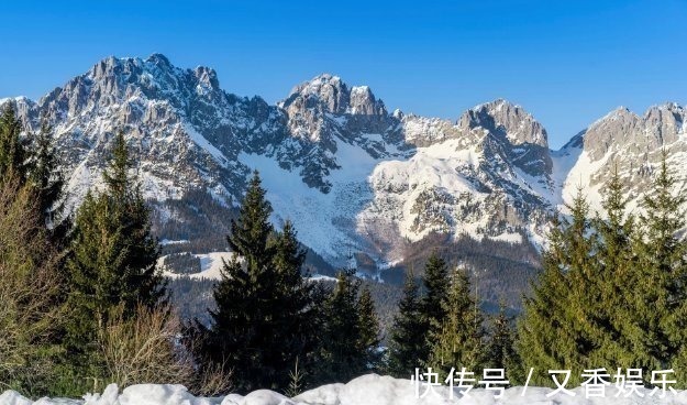 照片&德艺术家把不着片缕的美女隐藏在照片中,人体彩绘伪装下佳人何在