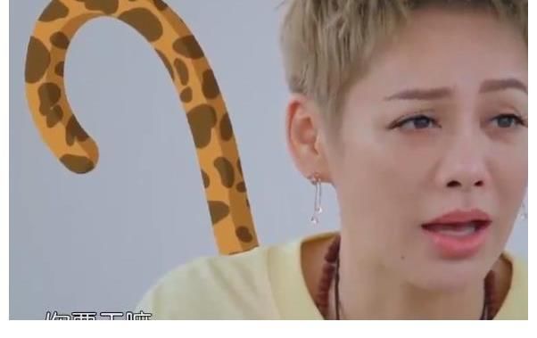 节目|黄晓明节目中为减肥只吃一根面条,宁静:你要干嘛?你有点作