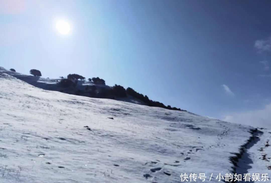 写意天池，童话天子山，一波云龙雪景美图来袭