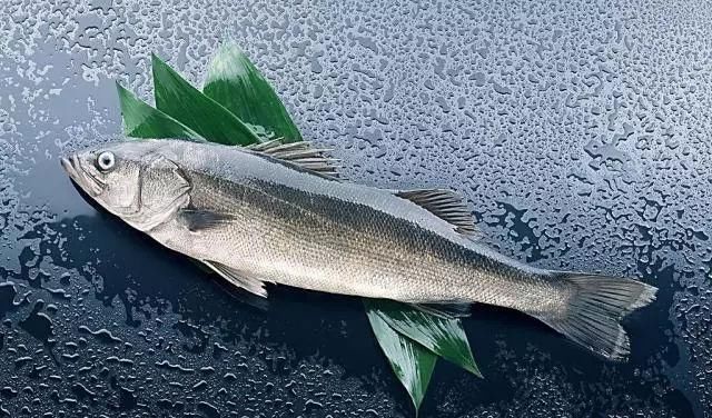 脑部|118岁老人看起来像五十岁,长寿秘诀就5句话,但多数人就是做不到