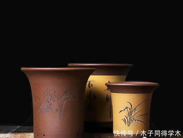 养花做好5步,新手变高手,养花不愁!