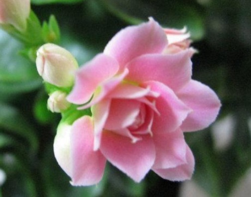 有钱人@人生有4条“天规”,40岁前背会,少奋斗15年,有钱人天天背!