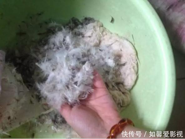 冬天到了家里旧羽绒服不要扔，这样利用，冬天超暖和