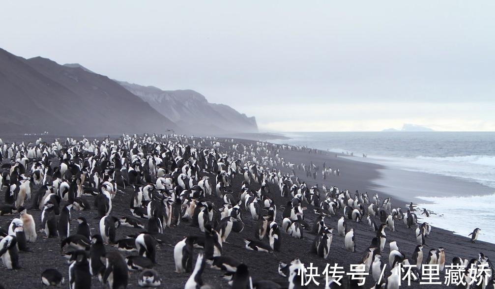 南极大陆|一生必去的南极，长期与世隔绝美景感人，游客：15万旅费花得值！