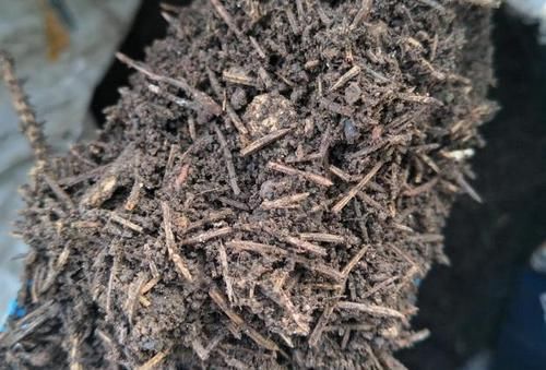  花卉|盆栽花卉全部用腐叶土，为什么不长