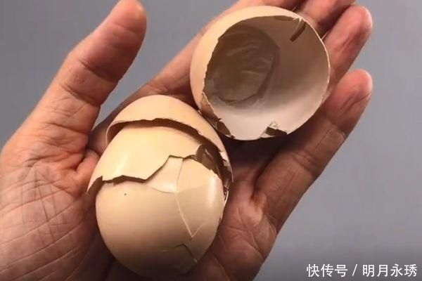 扔鸡蛋壳等于在扔钱,留在家里特别“值钱”,作用花钱都买不到