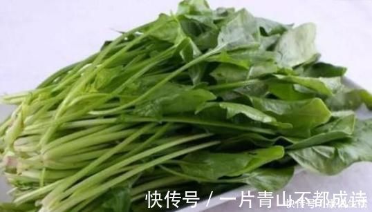 老太太|老太太40岁患癌,活到106岁,她的“长寿经”里记载了2种食物!