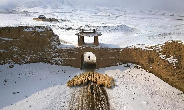 雪花|诗词:雪花扬，朔风吹，雁远航。塞门高卷处