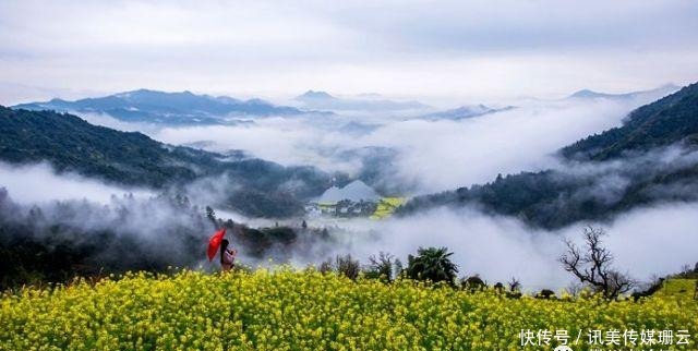 圆弧|【安徽油菜花】最全徽州油菜花赏花地图来了,这份攻略要收好