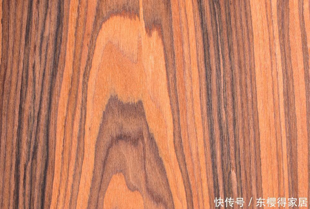 院子里有空地,就种“四大名贵树”,越大价值越高