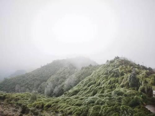 房前|朔风欲雪，绽放在曲靖、六盘水房前屋后的冰花，惊艳到你了吗？