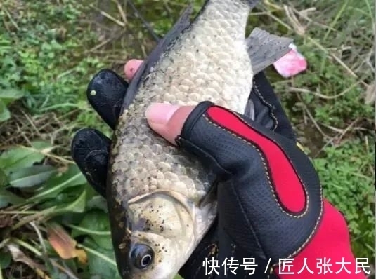 装备|简装出行常被当作新手,但这却是我冬日里钓大板鲫的“秘密”