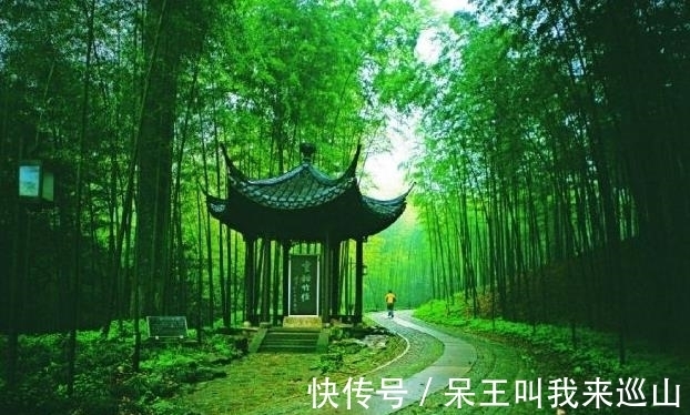 真可@他是一代高僧,修炼出逍遥境界,为啥却有那么多人还不了解他?