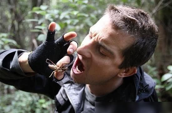 解雇|当年爆红“站在食物链顶端”的贝爷,为何突然不见了