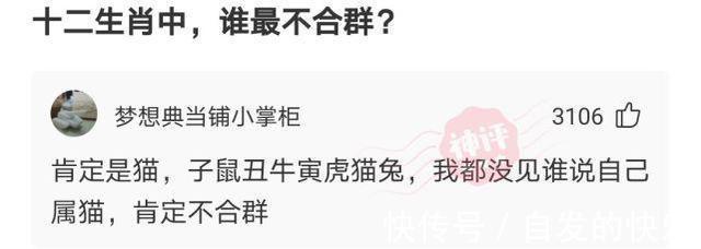 |搞笑神评：项目经理中暑了，我怎么回复他才能体现我很关心他？