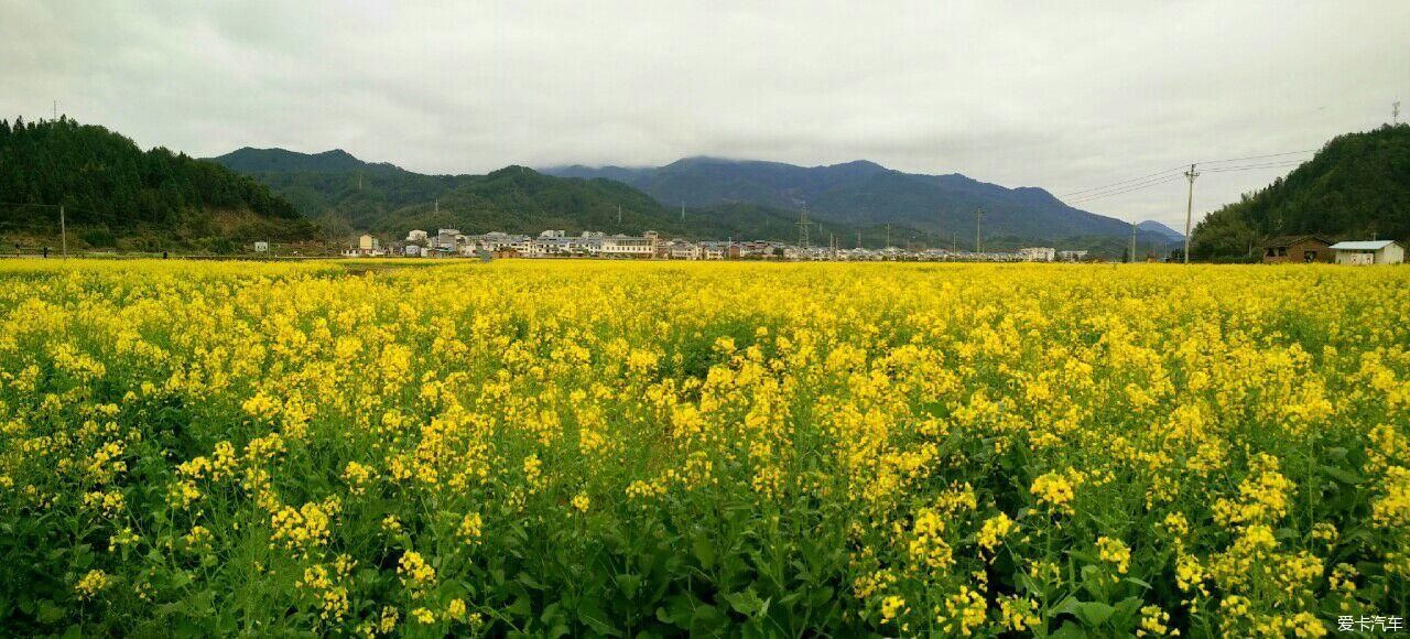 浙江|爱在山花烂漫时