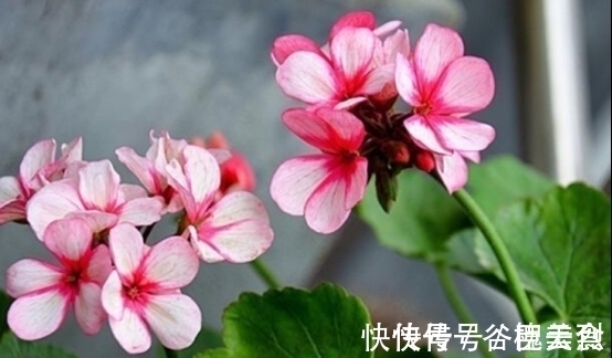 射手座|未来三天,4个星座,心情变好,不为小事生气,也不再愁眉苦脸