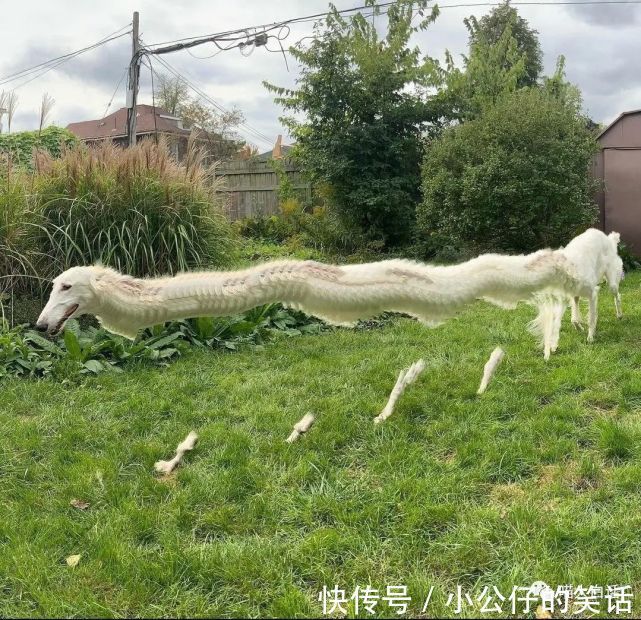 云龙兄|“千万别乱尝试新的装修风格!”哈哈哈哈哈哈网友亲身经历笑疯我!