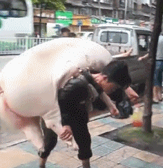 |搞笑GIF:本以为是郎才女貌 怎料想是狼心狗肺