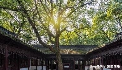 北宋|王安石很冷门的一首七律,颈联值得细读,最后两句更藐视一切困难