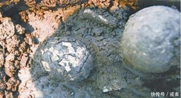 历史|考古学家为什么怕在古墓中看到鸡蛋?看完长见识了