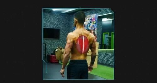 腘绳肌|几块“易被忽视训练”的重要肌肉,可能影响你的训练质量!