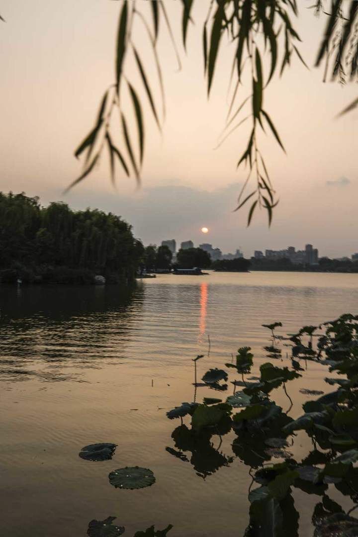 大明湖|济南大明湖新增“一景”