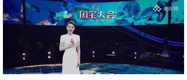 財經|龍洋再挑央視“大會”主持重任，與謝穎穎兩代當家花旦同框比美