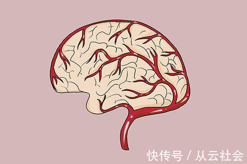 中老年人|每天早上吃个水煮鸡蛋,对身体是好还是坏?答案是时候搞清楚了