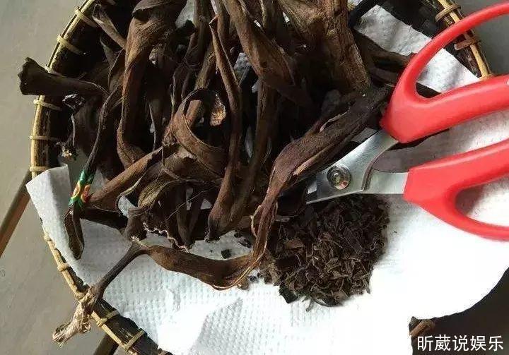 4种垃圾不会分类别担心,埋在花盆底,叶子绿得直滴油!